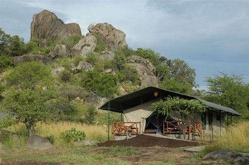 Mbuzi Mawe Serena Camp Serengeti Luaran gambar